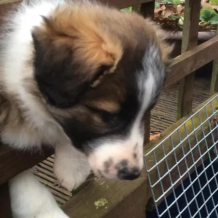 Asquith Hall & Ξενοδοχείο 4*