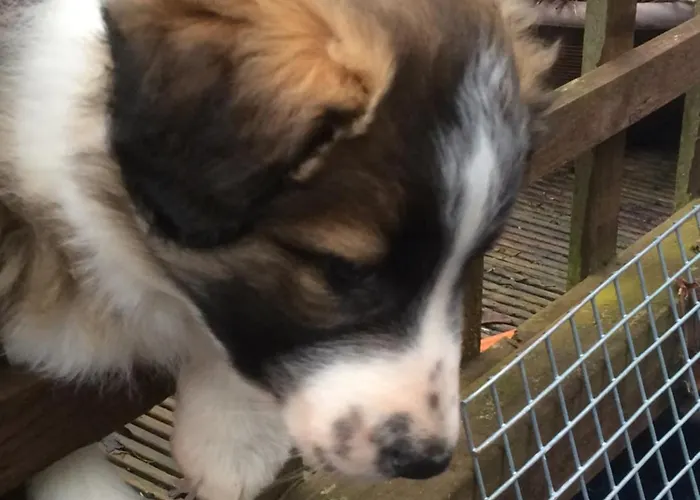 Asquith Hall & Hotel 4*